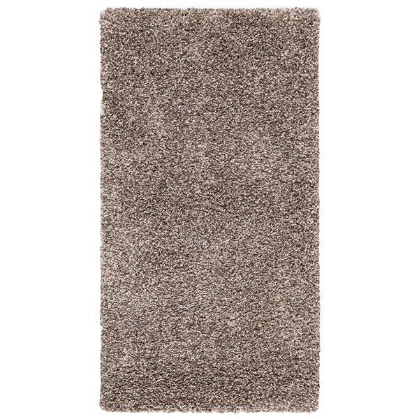 Safavieh Evolution Shag 3-ft x 5-ft Brown Rectangular Indoor Throw Rug ...