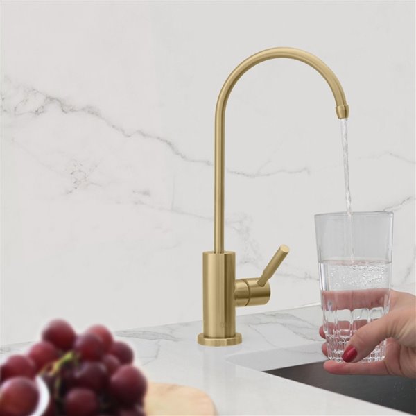 Stylish Lodi Gold 1-Handle Deck Mount High-Arc Handle/Lever Kitchen Faucet