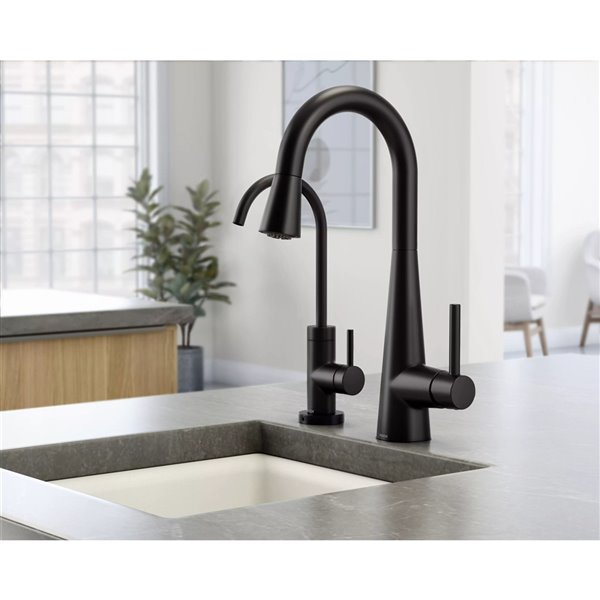 Moen black online kitchen faucet