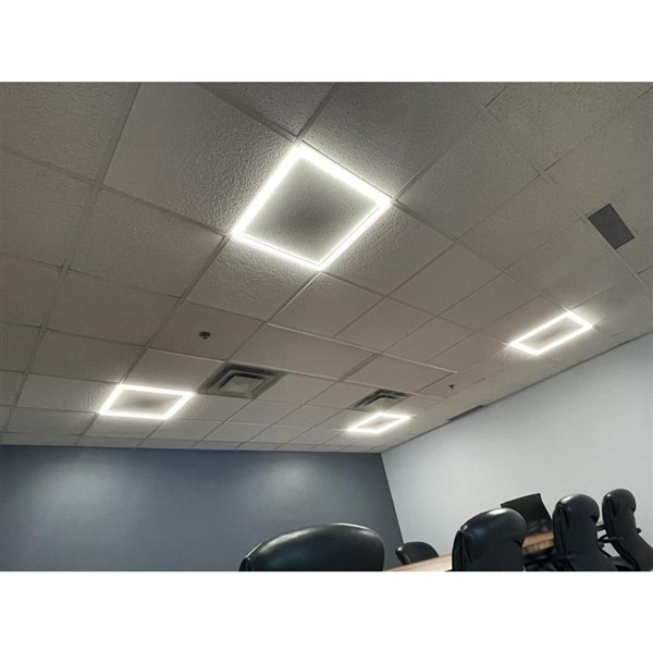 Panneaux lumineux DEL Edgelite de Leadvision à 1 ampoules 2 pi x 4
