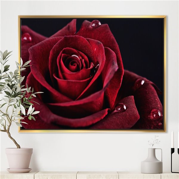 Designart 36 in x 46 in Red Rose with Raindrops on Black Canvas