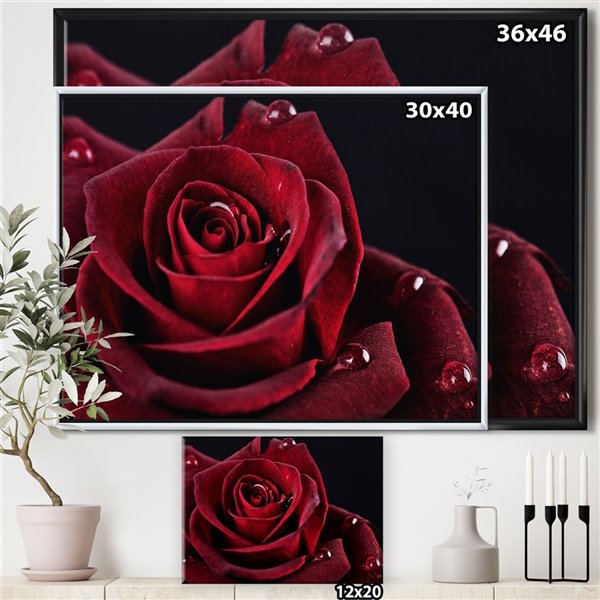 Designart 36 in x 46 in Red Rose with Raindrops on Black Canvas