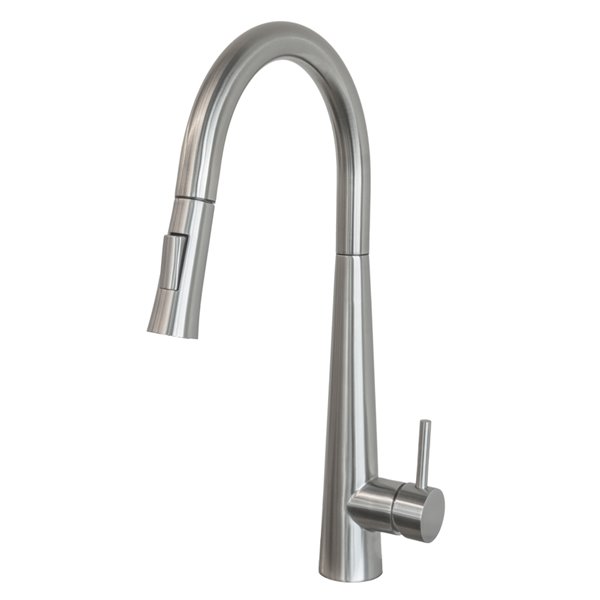 Transform Havana Brushed Nickel 1-Handle Pull-Down Kitchen Faucet with Deck  Plate