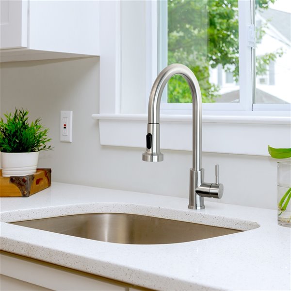 Transform Vienna Brushed Nickel 1-Handle Pull-Down Kitchen Faucet with Deck Plate