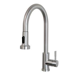Transform Vienna Brushed Nickel 1-Handle Pull-Down Kitchen Faucet with Deck Plate
