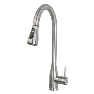 Transform Juno Brushed Nickel 1-Handle Pull-Down Kitchen Faucet with Deck Plate