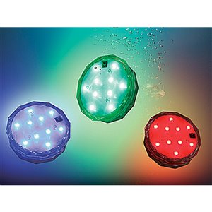 Lanterne d'extérieur décorative Ason Decor, à DEL en plastique transparent de 3,25 po x 0,75 po
