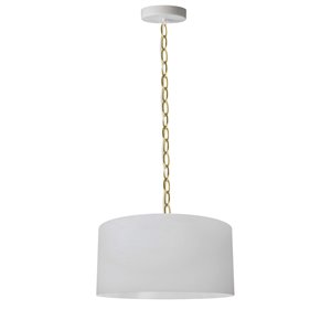 Luminaire suspendu transitionnel blanc Braxton par Dainolite de 14 po