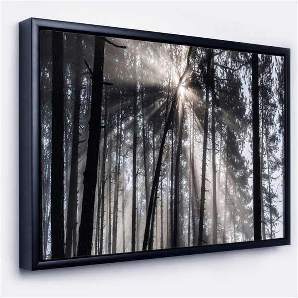 Designart 30-in x 40-in Sunbeams Through Black and White Forest with ...