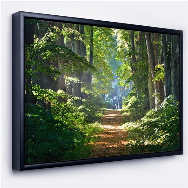 Designart 14-in x 22-in Bright Green Forest in Morning with Black Wood ...