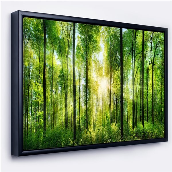 Designart 28-in x 60-in Forest with Rays of Sun Panorama with Black Wood Framed Canvas Wall Panel