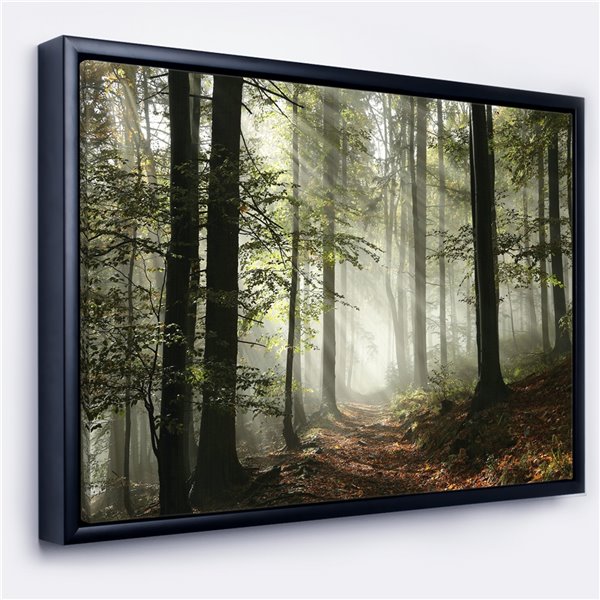 Designart 30-in x 40-in Light in Dense Fall Forest with Fog with Black ...