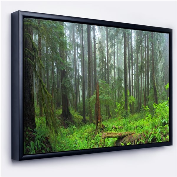 Designart 16-in x 32-in Hoh Rain Forest with Black Wood Framed Canavas ...