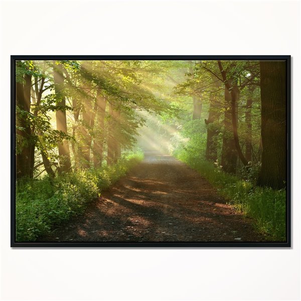 Designart 18-in x 34-in Sun Peeks into Forest with Black Wood Framed Canvas Wall Panel