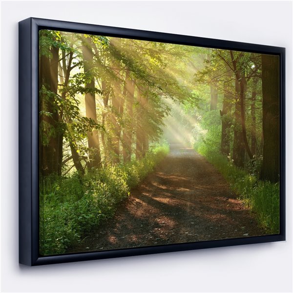 Designart 18-in x 34-in Sun Peeks into Forest with Black Wood Framed Canvas Wall Panel