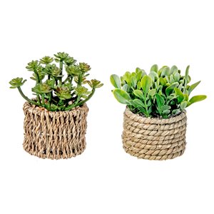 IH CASADECOR 3.35-in W x 4.35-in H Boxwood Artificial Ivy