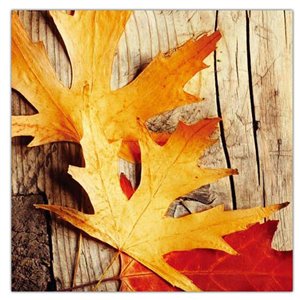 Paquet de 20 serviettes de table à 3 épaisseurs de IH CASADECOR (feuilles d'automne) - Ensemble de 6