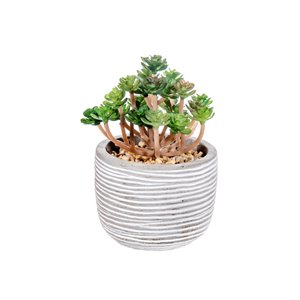IH Casa Decor 3.75-in W x 6-in H Boxwood Artificial Ivy