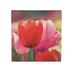 Paquet de 20 serviettes de table à 3 épaisseurs de IH CASADECOR (tulipes) - Ensemble de 6