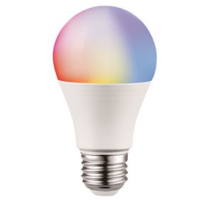 Ampoule A19 à intensité réglable de TorontoLed, 60 W, blanc, paquet de 2