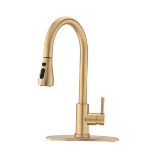 Kinwell Sink Faucet 1-handle Single Hole Bathroom Sink Faucet in Brushed Gold (Deck Plate Included)