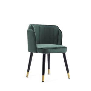 Manhattan Comfort Zephyr Velvet Contemporary Upholstered Arm Chair (Wood Frame)