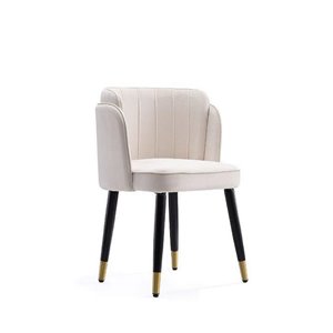 Manhattan Comfort Zephyr Contemporary Velvet Upholstered Arm Chair (Wood Frame)