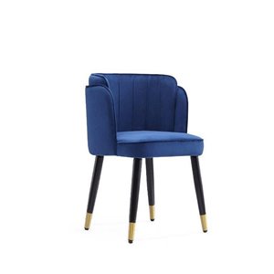 Fauteuil contemporain Zephyr rembourré en velours avec cadre en bois de Manhattan Comfort