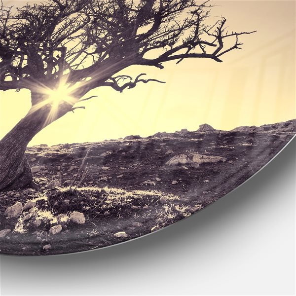 Designart 36-in x 36-in Round Lonely Grey Tree in Mountain' Extra Large Wall Art Landscape