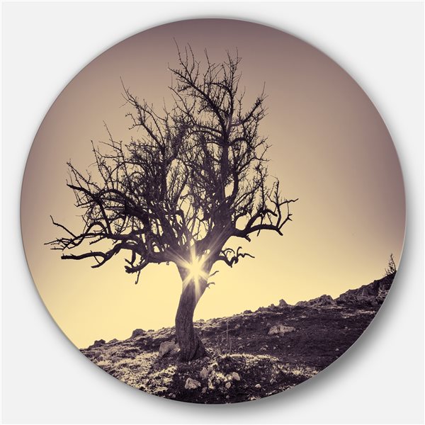 Designart 36-in x 36-in Round Lonely Grey Tree in Mountain' Extra Large Wall Art Landscape