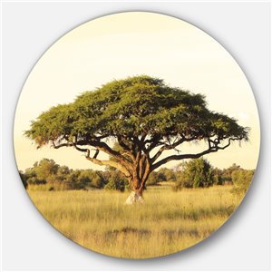 Designart 23-in x 23-in Acacia Tree on African Plain Oversized African Metal Circle Art
