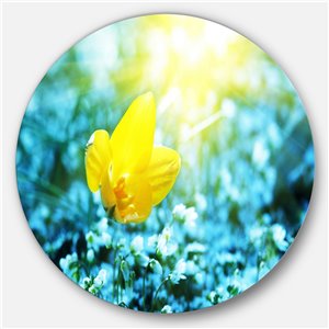 DesignArt 23-in x 23-in Beautiful Yellow Spring Flower Floral Metal Circle Wall Art