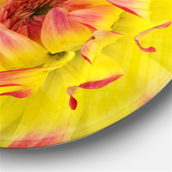 Designart 36-in x 36-in Smooth Yellow Red Flower Petals Floral Circle Metal Wall