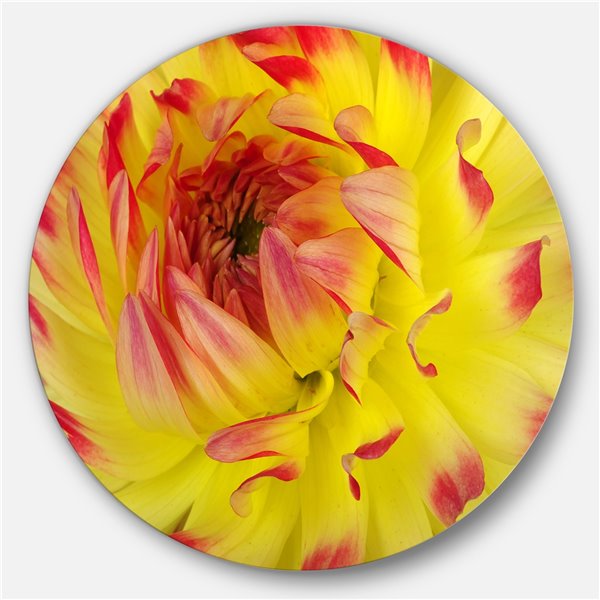 Designart 36-in x 36-in Smooth Yellow Red Flower Petals Floral Circle Metal Wall