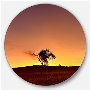 DesignArt 29-in x 29-in Solitary Tree in Namib Desert African Metal Circle Wall Art