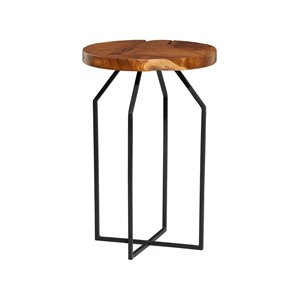 Grayson Lane Brown Teak Wood Round End Table