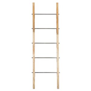 Grayson Lane Contemporary Ladder - Brown Stainless Steel - 59-in X 19-in x 2-in