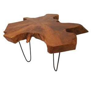 Grayson Lane Brown Teak Wood and Metal Coffee Table