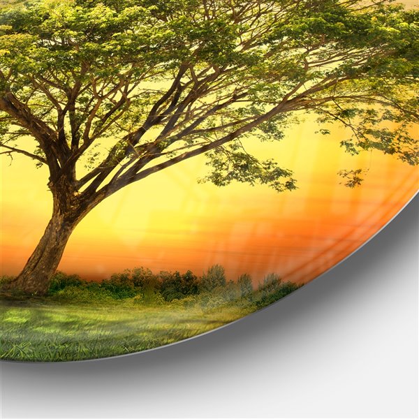 Designart 36-in x 36-in Green Tree against Setting Sun Trees Metal Circle Wall Art