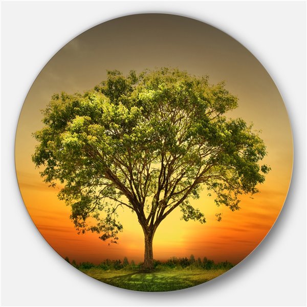 Designart 36-in x 36-in Green Tree against Setting Sun Trees Metal Circle Wall Art