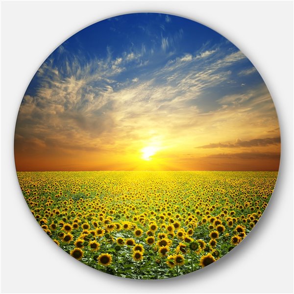 Designart 11-in x 11-in Beauty Sunset over Sunflowers Field Disc Metal Circle Wall Art