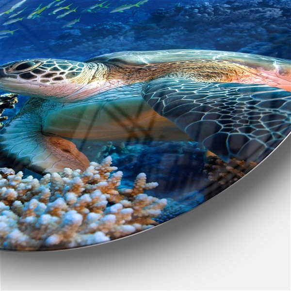 Designart 29-in x 29-in Sea Turtle underwater Ultra Vibrant Abstract Metal Circle Wall Art