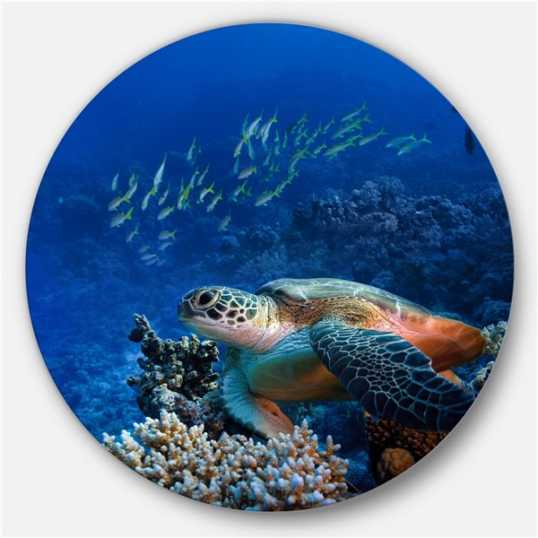 Designart 29-in x 29-in Sea Turtle underwater Ultra Vibrant Abstract Metal Circle Wall Art