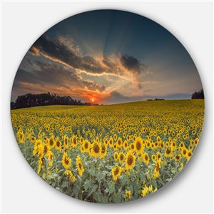 Designart 36-in x 36-in Sunflower Sunset with Cloudy Sky Disc Metal Circle Wall Art