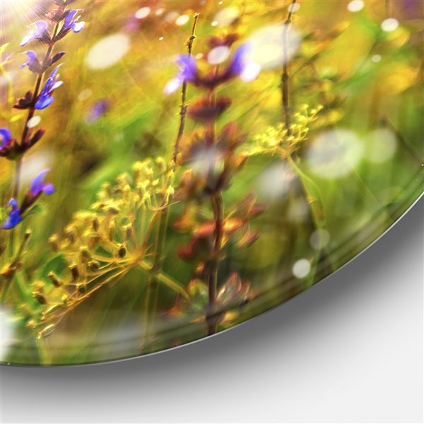 Designart 36-in x 36-in Beautiful Purple Wild Flowers Large Floral Metal Circle Wall Art