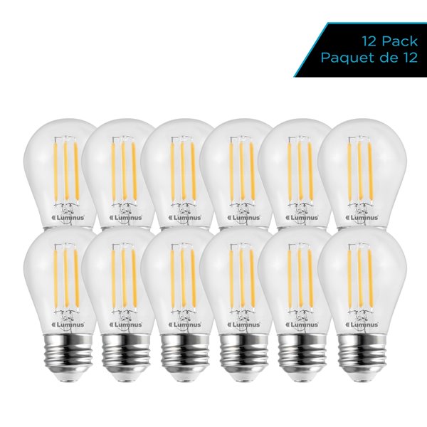 a15 daylight bulb