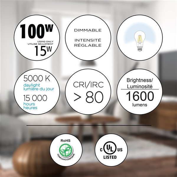 Luminus 100-Watt EQ A21 Daylight Dimmable LED Light Bulb (6-Pack)