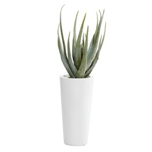 Grayson Lane 33.50-in Artificial Agave Plant
