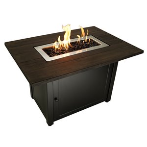 Endless Summer Marc 28-in 50,000-BTU Brown Stainless Steel Liquid Propane Fire Table