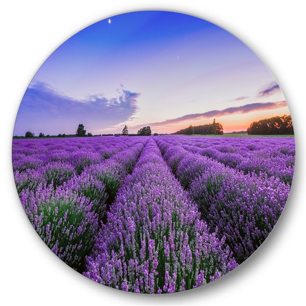 Designart 23-in x 23-in Sunrise and Dramatic Clouds Over Lavender Field ...